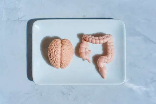 The Link Between Nutrition and Mental Health