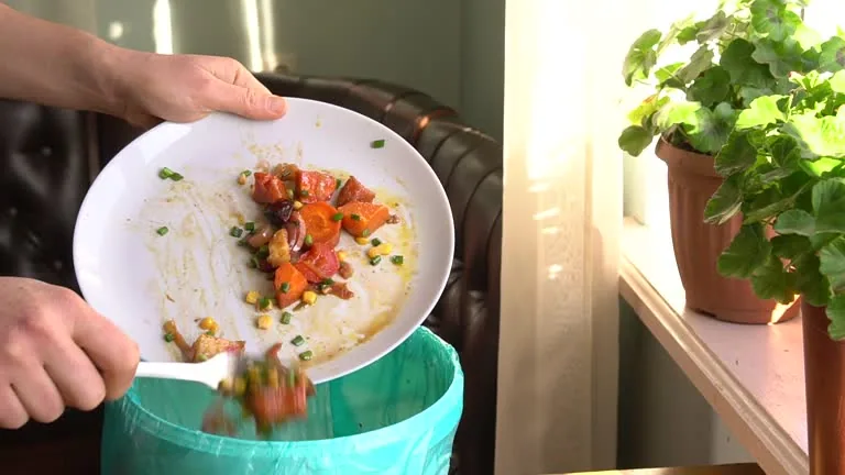 How to Create a Budget-Friendly Healthy Meal Plan