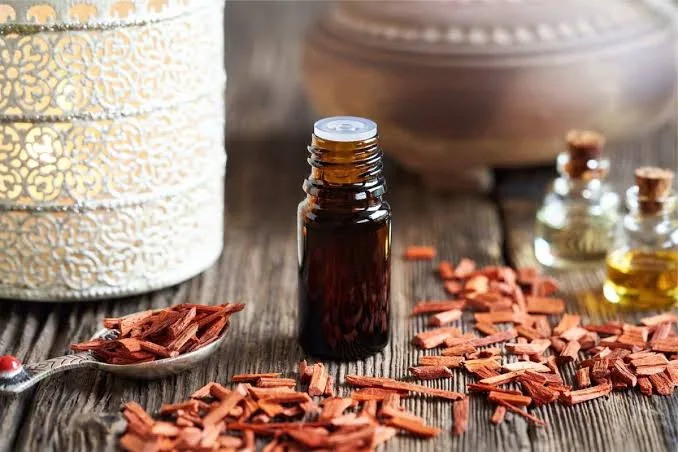 Essential Oils for Stress Relief and Better Sleep: A Beginner’s Guide