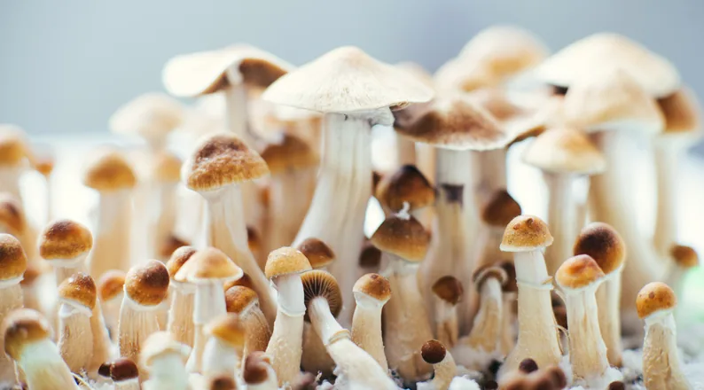The Future of Mental Health: A New Era of Treatment
