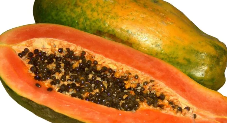 5 Best Fruits for Boosting Immunity, According to Nutritionists