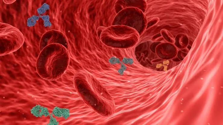 New Human Blood Group System: MAL Solves 50 Year Mystery