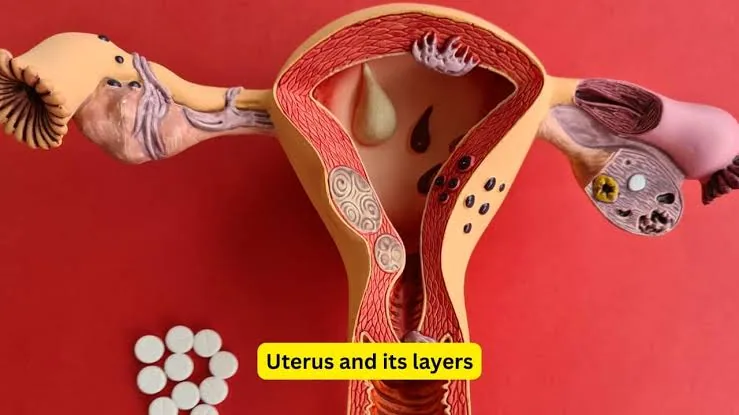 Endometriosis The Silent Disease That Can Steal a Woman’s Fertility Without Warning
