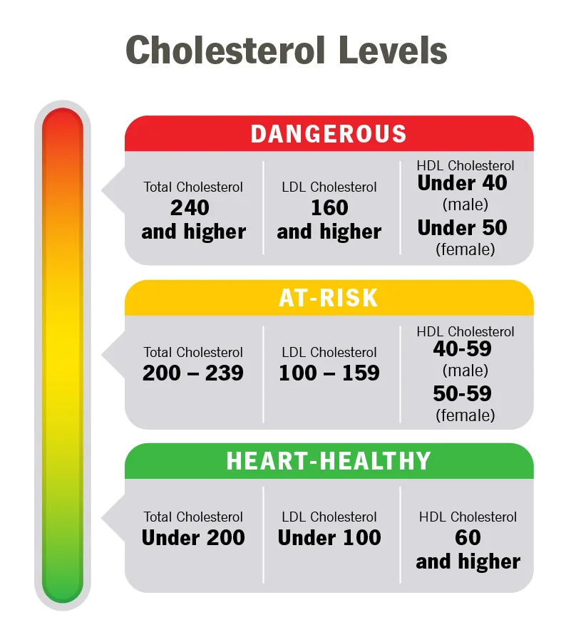 Lipid Profile: What Your Cholesterol Levels Reveal About Your Heart