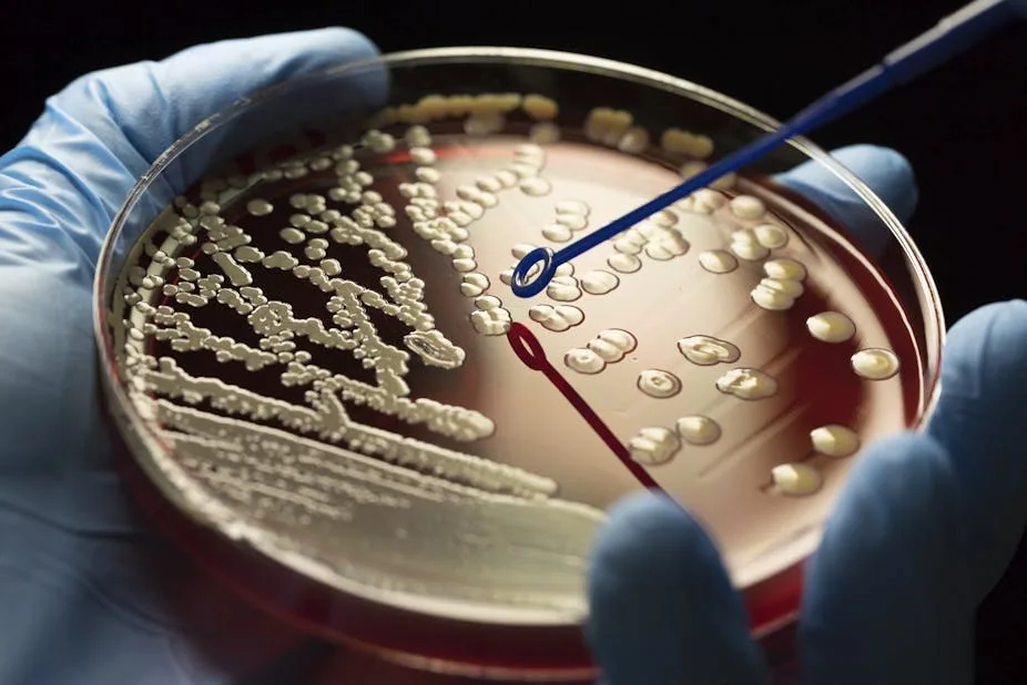 Misusing Antibiotics: The Hidden Cause of Antimicrobial Resistance