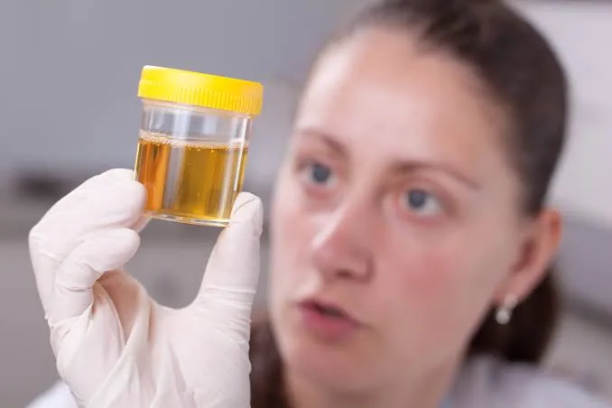 Is Human Urine Safe? What Science Really Says About Drinking or Using It