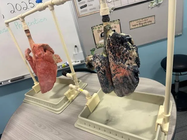 What Happens to Your Body When You Smoke: A Shocking Simulation