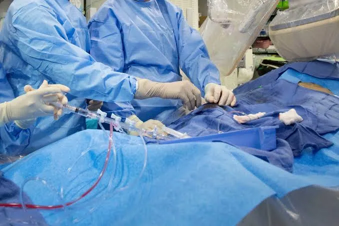 Mastering Stents: A Comprehensive Guide to Types, Placement, and Medical Applications