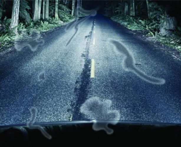Why Sudden Flashes of Light in Your Eyes Could Be a Serious Warning