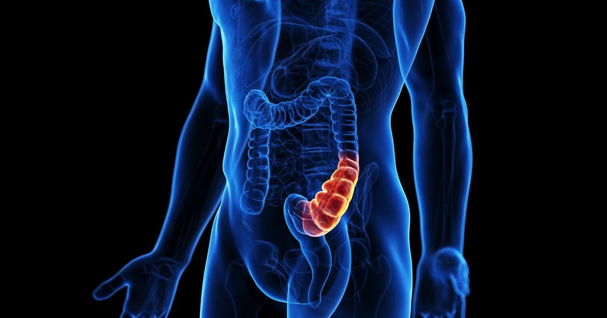 The Surprising Link Between Constipation And The Silent Growth Of Hemorrhoids